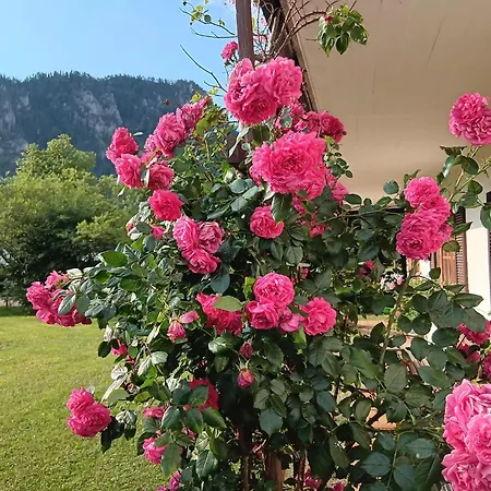Apartmán Waldherr *